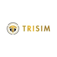 Trisim Global Solutions Logo