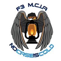 F3 Missing Childrens Intelligence Agency Logo