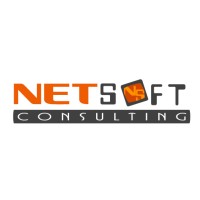 Netsoft Consulting Logo