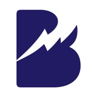 Brand Surge Marketing Logo