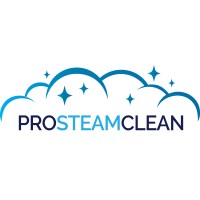 PRO STEAM CLEAN Logo