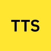 TechTeam Solutions Logo