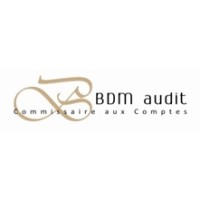 BDM AUDIT Logo