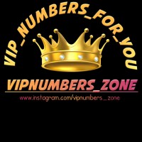Vipnumbers_zone Logo