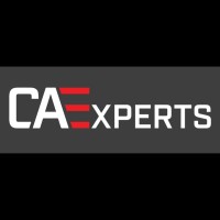 CAE Experts Engineering Services Logo