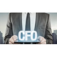 V-CFO On Call Logo
