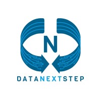 Data Next Step Logo