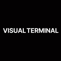 Visual Terminal Logo
