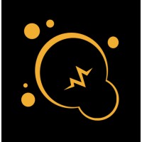 Grupo Insight - Rio, São Paulo & Viseu (Portugal) Logo