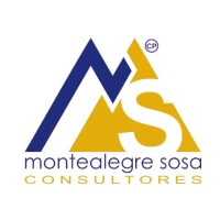 MS Consultores | Firma contable Logo