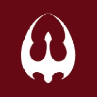 Dragon Federation Logo