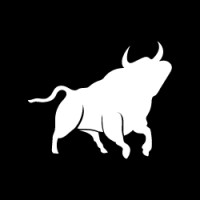 VALORA TORO Logo
