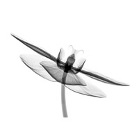 Collaborative Innovation Institute Logo