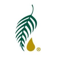 Healthy Solutions Logo