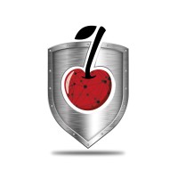 The centre of gravity for filling corporate security positions. Logo