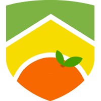 BRASA Syracuse Logo
