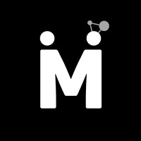 Mentor Mesh Logo