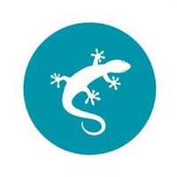 Evolved Development Logo