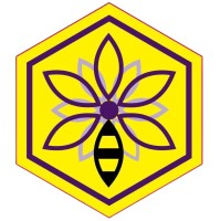 BeeVibe Logo