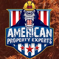American Property Experts Logo