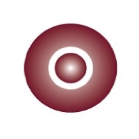 ROI Institute Europe Logo