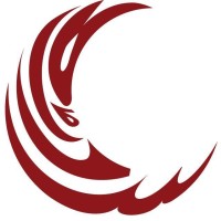 Saleem Memorial Hospital Logo