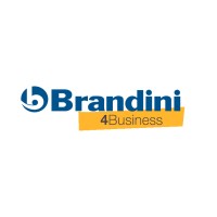 Brandini 4Business Logo