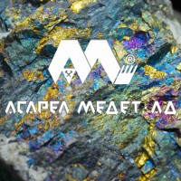 Asarel-Medet JSC Logo