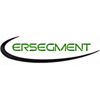 Ersegment Solutions Pvt Ltd Logo