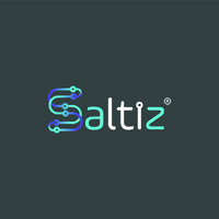 SALTIZ Tecnologia da Informação Ltda. Logo