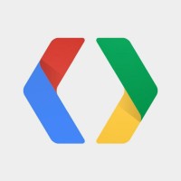 Google Developer Student Club, VIT Chennai Logo