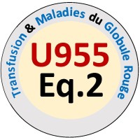 Equipe Pirenne - IMRB, Inserm, UPEC et EFS Logo