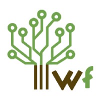 Wired Foundations Logo