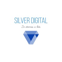 Silver Digital Logo