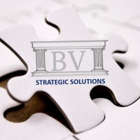 BV Strategic Solutions Logo