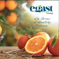Egyptian Agriculture Services & Trade Co. (EGAST Group) Logo