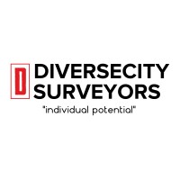 DiverseCity Surveyors Logo