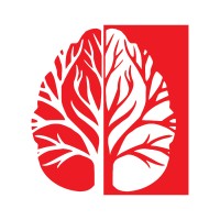 Dinnova AG Logo