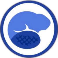 Castor Digital Logo