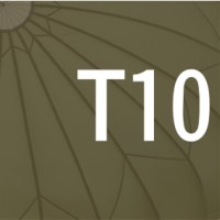 T10 Advisors Logo