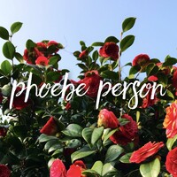 Phoebe Person Virtual Support Logo