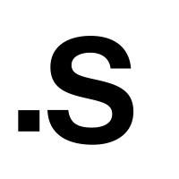 NEW STANDARD.S Logo