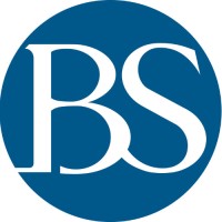 BS VISION Corporate Consulting Logo