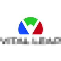 Vital Leap Logo