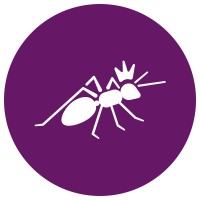 The Anthill Logo