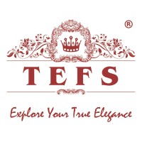 Tefs.in Logo