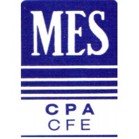 Mindy Eisenberg Stark CPA, CFE Logo
