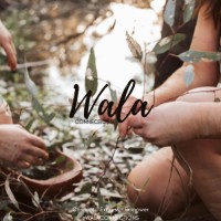 Wala Connections Logo