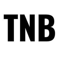 The Next Billion Consulting Logo