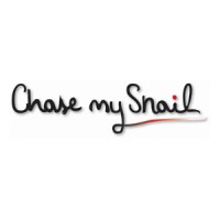 CHASE MY SNAIL LIMITED Logo